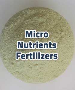 Micronutrient Fertilizers