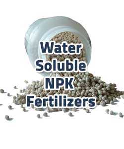 Water Soluble NPK Fertilizers