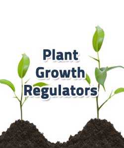 Plant Growth Regulators