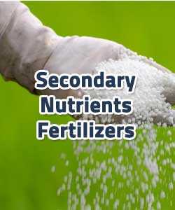 Secondary Nutrient Fertilizers